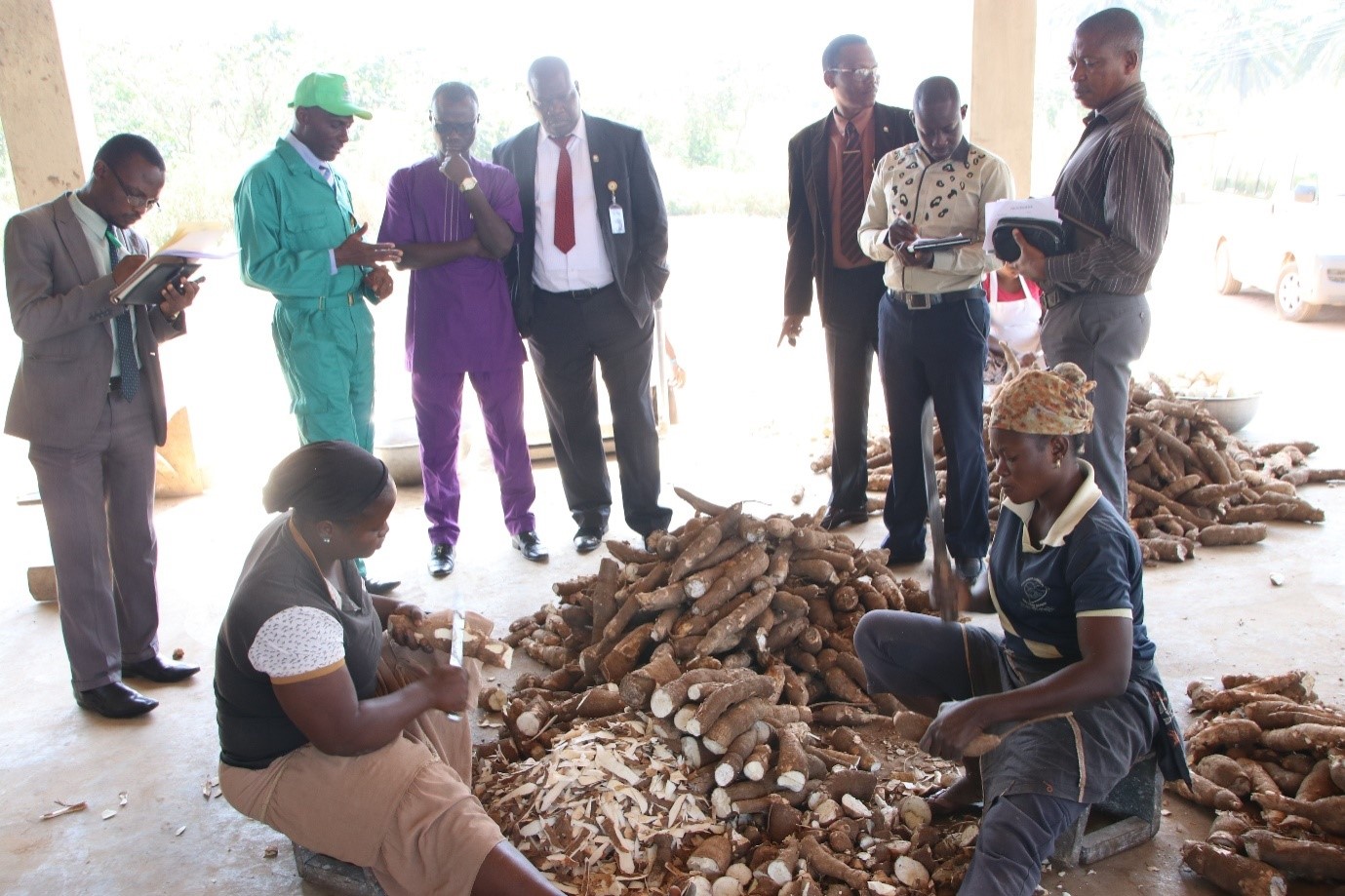 
The team at the cassava peeling section of the University’s Cassava processing factory